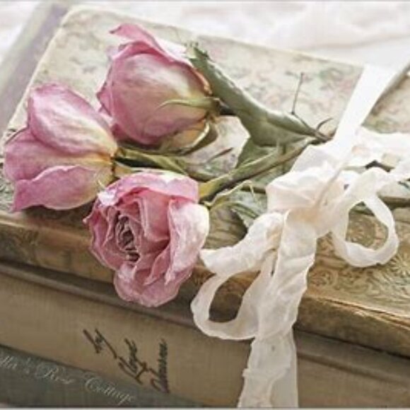 OPEN TO REASONABLE OFFERS!—EXCLUDES ITEMS MARKED FIRM - Picture 9 of 10